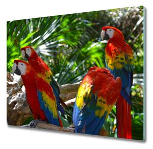 Tocator din sticla macaws papagali