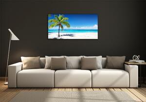 Imagine de sticlă plaja tropicala