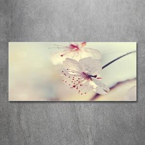 Imagine de sticlă floare de cires