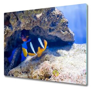 Tocator din sticla Peste tropical