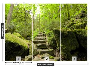 Fototapet Forest Trail