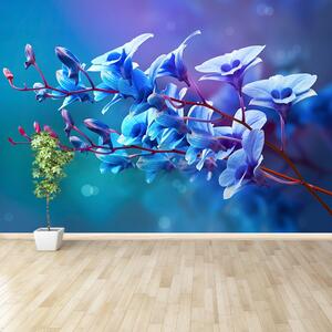 Fototapet albastru orhidee