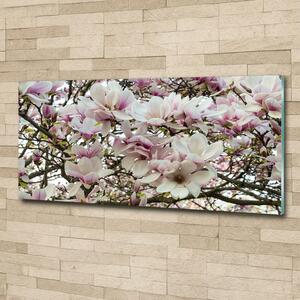 Fotografie imprimată pe sticlă flori magnolia