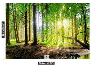 Fototapet Forest Of The Sun