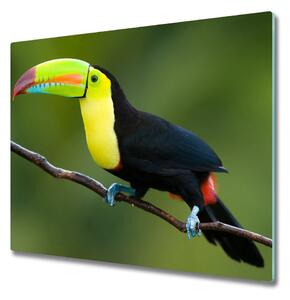 Tocator din sticla Toucan