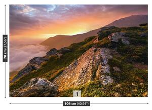 Fototapet Munții Carpați