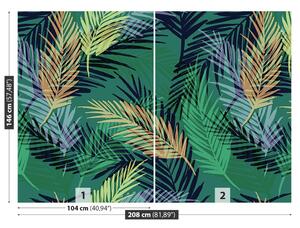 Fototapet Frunze de palmier