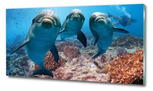 Tablou Printat Pe Sticlă delfini