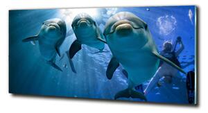 Imagine de sticlă trei delfini