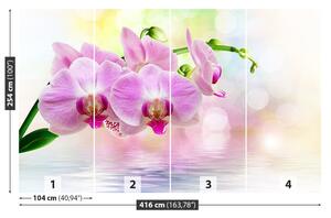 Fototapet Orchid Roses