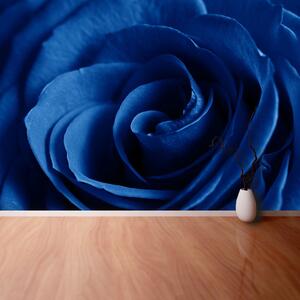 Fototapet Trandafir albastru