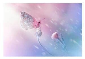 Fototapet Butterfly Flower
