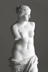 Fotografie de artă Venus de Milo on grey, 221A, (26.7 x 40 cm)