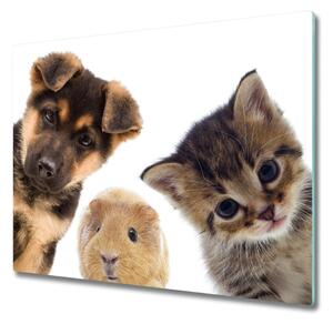 Tocator din sticla Animale de companie