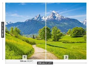 Fototapet Alpi de vară