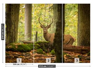 Fototapet Deer Forest