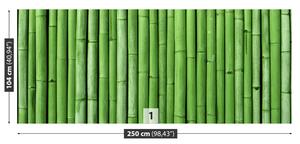 Fototapet Bamboo Green