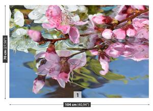 Fototapet Cherry Blossom Water