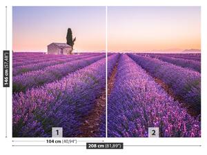 Fototapet Provence Lavandă