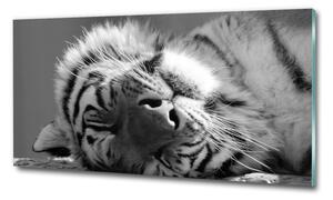 Tablou sticlă dormit tigru