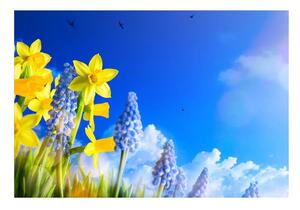 Fototapet Albastru Daffodil