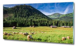 Fotografie imprimată pe sticlă Oi în munții Tatra