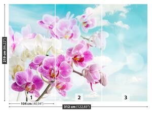 Fototapet orhideele Albastru