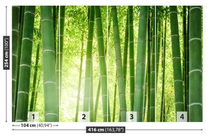 Fototapet Pădure de bambus