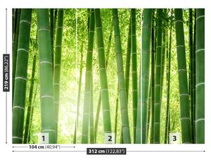 Fototapet Pădure de bambus