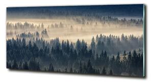 Tablou din Sticlă Ceață peste pădure