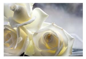 Fototapet Trandafiri albi
