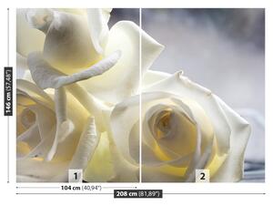 Fototapet Trandafiri albi