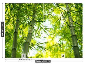 Fototapet Bamboo Branch