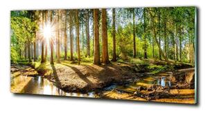 Tablou Printat Pe Sticlă Panorama de pădure