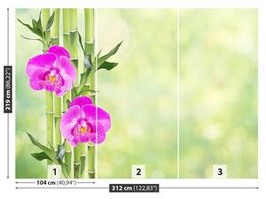 Fototapet Orchid și lemn de bambus