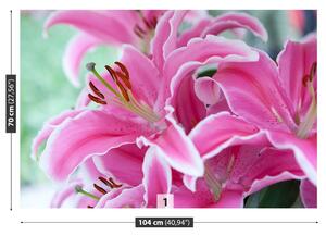 Fototapet Pink Lily