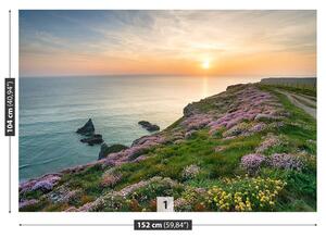 Fototapet Coasta de Cornwall