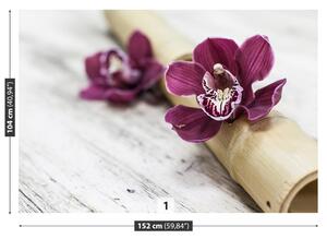 Fototapet Orchid lemn