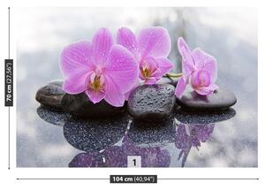 Fototapet Orchid Stones