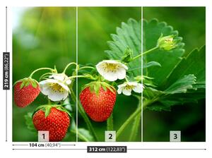 Fototapet Green Strawberry