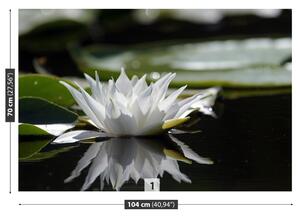 Fototapet Lotus alb