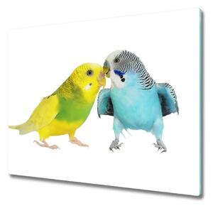 Tocator din sticla Budgies