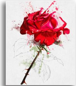 Tablou red rose, Printly