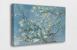 Van Gogh - Ramuri de migdal inflorit - reproducere