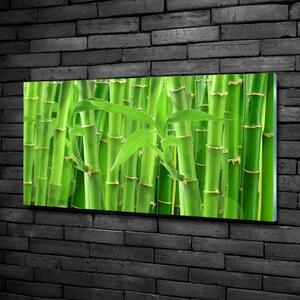 Tablou sticlă bambusul