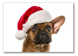 Tablou pe panza canvas Bulldog Christmas Dog