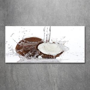 Tablou Printat Pe Sticlă nucă de cocos