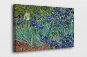 Van Gogh - Tablou Canvas Irisi - reproducere
