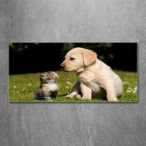 Tablou sticlă Câine și pisică pe pajiște