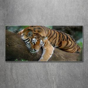 Imagine de sticlă Tiger pe un copac